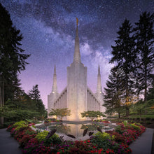 Load image into Gallery viewer, Portland Celestial
