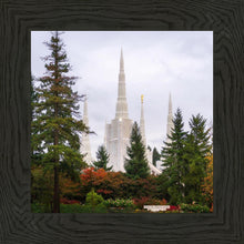 Load image into Gallery viewer, Portland Temple Forest Through The Trees
