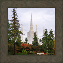 Load image into Gallery viewer, Portland Temple Forest Through The Trees
