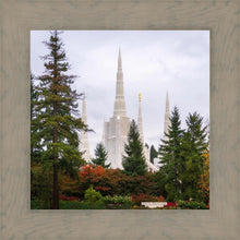 Load image into Gallery viewer, Portland Temple Forest Through The Trees
