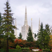 Load image into Gallery viewer, Portland Temple Forest Through The Trees
