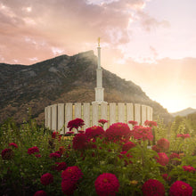 Load image into Gallery viewer, Provo Second Coming
