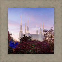 Load image into Gallery viewer, Washington DC Christmas Morning
