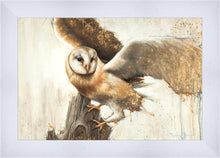 Load image into Gallery viewer, Graceful Landing

