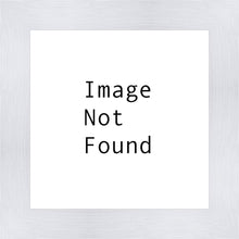 Load image into Gallery viewer, Abide With Me
