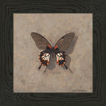 Load image into Gallery viewer, Become Monarch
