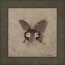 Load image into Gallery viewer, Become Monarch
