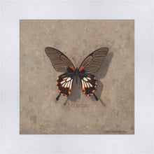 Load image into Gallery viewer, Become Monarch
