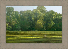 Load image into Gallery viewer, I Retired Into the Woods
