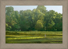 Load image into Gallery viewer, I Retired Into the Woods
