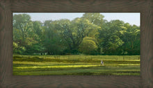 Load image into Gallery viewer, I Retired Into the Woods
