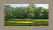Load image into Gallery viewer, I Retired Into the Woods
