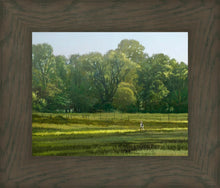 Load image into Gallery viewer, I Retired Into the Woods
