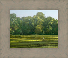 Load image into Gallery viewer, I Retired Into the Woods

