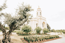 Load image into Gallery viewer, Sweet is The Work Feather River California Temple
