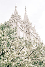 Load image into Gallery viewer, Sweet is The Work Salt Lake City Utah Temple
