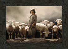 Load image into Gallery viewer, Of Lambs and Shepherds
