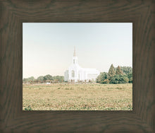 Load image into Gallery viewer, Burley Idaho Immaculate Embrace Blue
