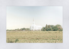 Load image into Gallery viewer, Burley Idaho Immaculate Embrace Blue
