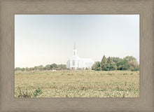 Load image into Gallery viewer, Burley Idaho Immaculate Embrace Blue
