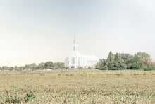 Load image into Gallery viewer, Burley Idaho Immaculate Embrace Blue
