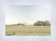 Load image into Gallery viewer, Burley Idaho Immaculate Embrace Blue
