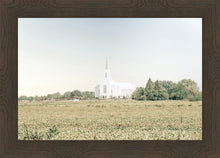 Load image into Gallery viewer, Burley Idaho Immaculate Embrace Blue
