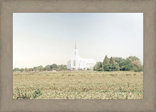 Load image into Gallery viewer, Burley Idaho Immaculate Embrace Blue
