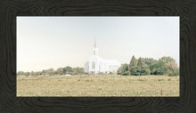 Load image into Gallery viewer, Burley Idaho Immaculate Embrace Blue
