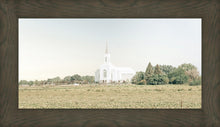 Load image into Gallery viewer, Burley Idaho Immaculate Embrace Blue
