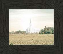 Load image into Gallery viewer, Burley Idaho Immaculate Embrace Pastel
