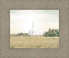 Load image into Gallery viewer, Burley Idaho Immaculate Embrace Pastel

