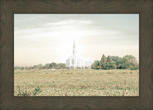 Load image into Gallery viewer, Burley Idaho Immaculate Embrace Pastel
