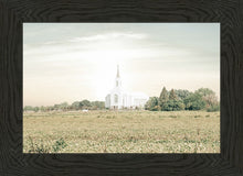 Load image into Gallery viewer, Burley Idaho Immaculate Embrace Pastel
