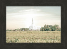 Load image into Gallery viewer, Burley Idaho Immaculate Embrace Pastel
