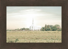 Load image into Gallery viewer, Burley Idaho Immaculate Embrace Pastel
