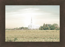 Load image into Gallery viewer, Burley Idaho Immaculate Embrace Pastel
