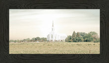 Load image into Gallery viewer, Burley Idaho Immaculate Embrace Pastel

