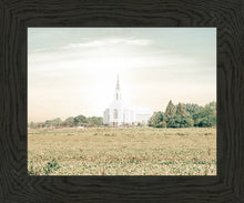 Load image into Gallery viewer, Burley Idaho Immaculate Embrace Pastel
