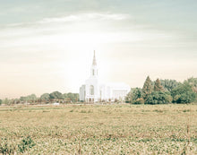 Load image into Gallery viewer, Burley Idaho Immaculate Embrace Pastel

