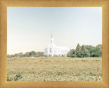 Load image into Gallery viewer, Burley Idaho Immaculate Embrace Blue
