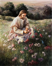 Load image into Gallery viewer, Lilies Of The Field
