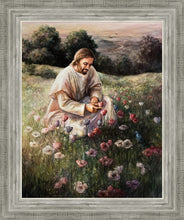 Load image into Gallery viewer, Lilies Of The Field
