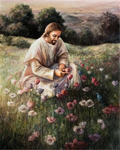Load image into Gallery viewer, Lilies Of The Field
