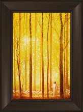Load image into Gallery viewer, Awesome Wonder
