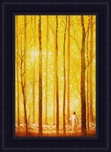 Load image into Gallery viewer, Awesome Wonder
