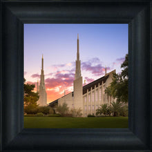 Load image into Gallery viewer, Las Vegas Desert Rose
