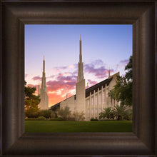 Load image into Gallery viewer, Las Vegas Desert Rose
