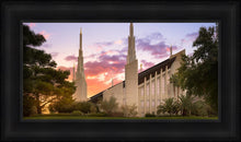 Load image into Gallery viewer, Las Vegas Desert Rose
