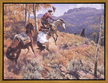 Load image into Gallery viewer, Bear Country
